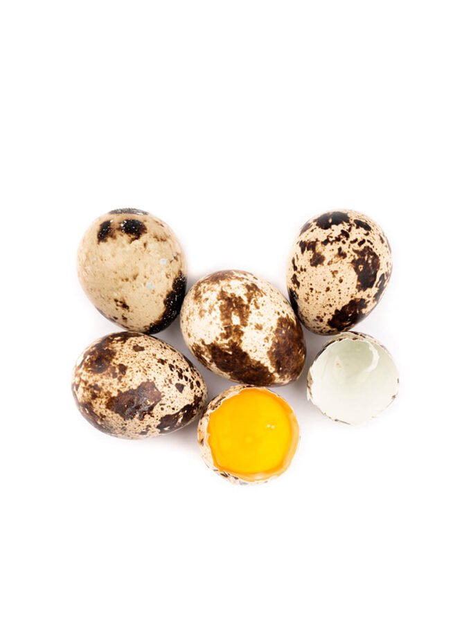 4 tijeras para huevos de codorniz - verde Ormromra 223026-2
